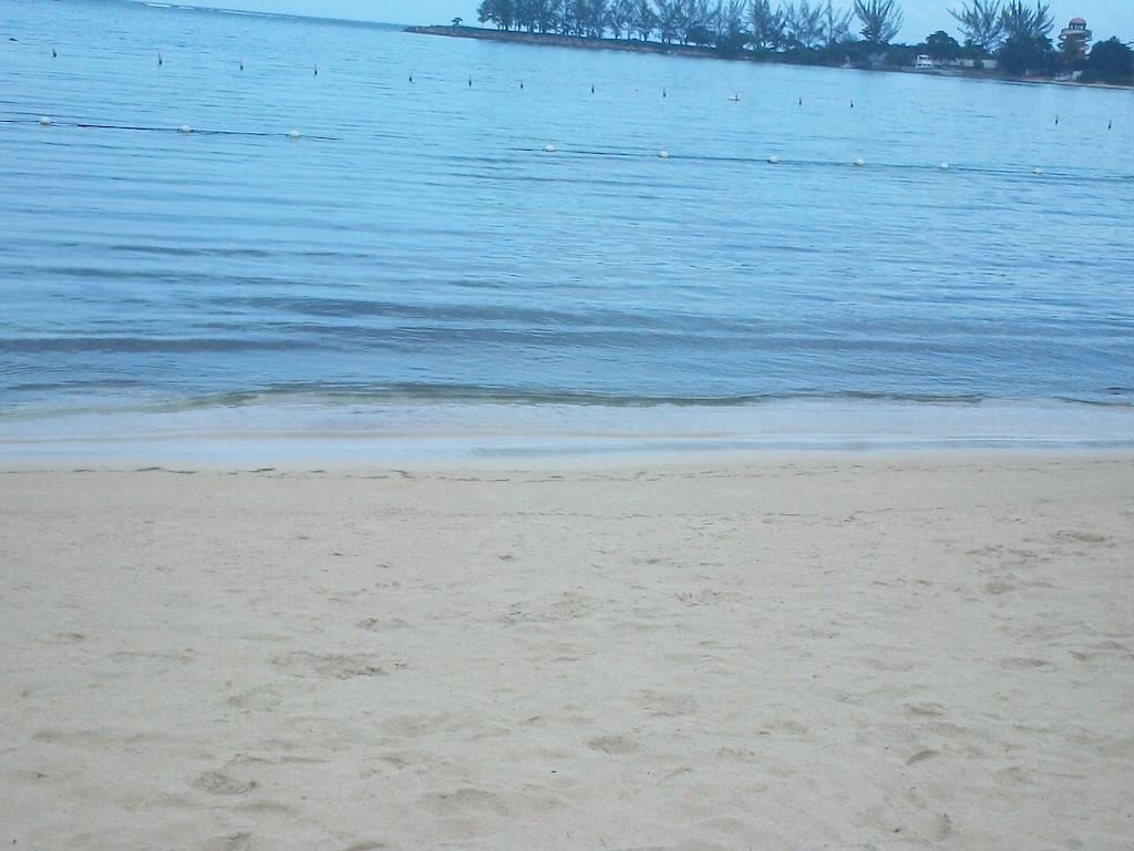 Turtle Towers Leilighet Ocho Rios Eksteriør bilde