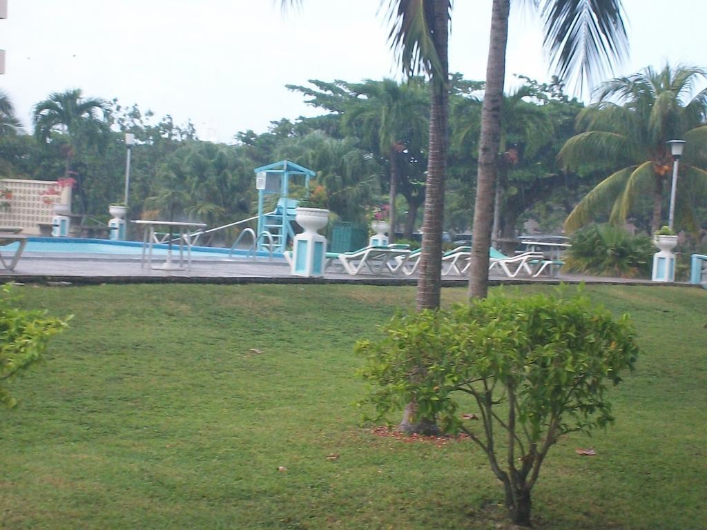 Turtle Towers Leilighet Ocho Rios Eksteriør bilde